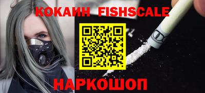 крисы Можга