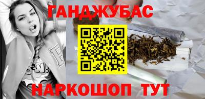 крисы Можга