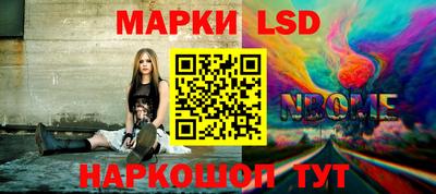 крисы Можга