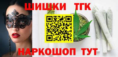 крисы Можга