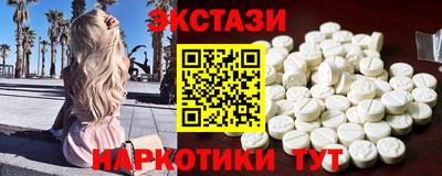 крисы Можга