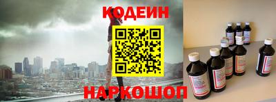 крисы Можга