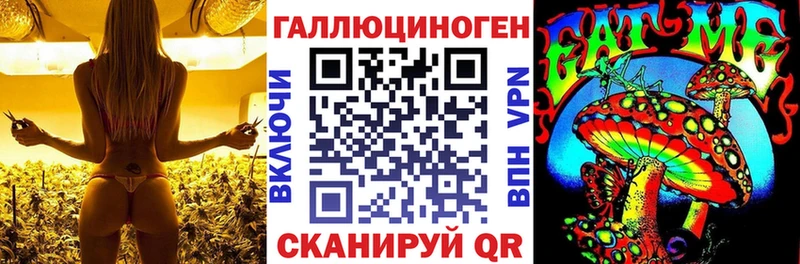 Галлюциногенные грибы Cubensis  наркошоп  Фрязино 