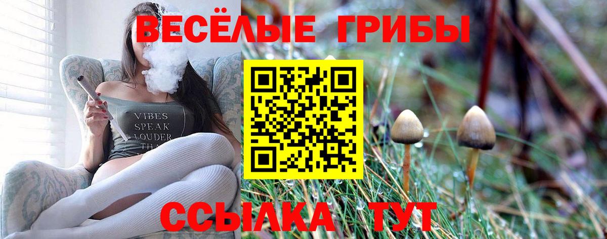 Галлюциногенные грибы Magic Shrooms Фрязино