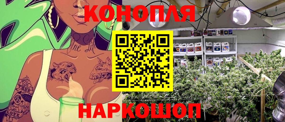Фрязино  Бошки марихуана AK-47  Вход с VPN  Конопля OG Kush  Конопля семена 